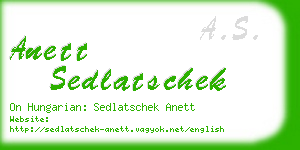 anett sedlatschek business card